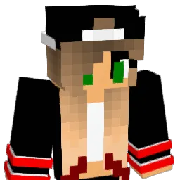 isapro16 Minecraft avatar bust