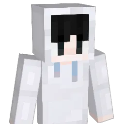 isin121314 Minecraft avatar bust