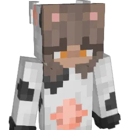 ismail_ekinci Minecraft avatar bust