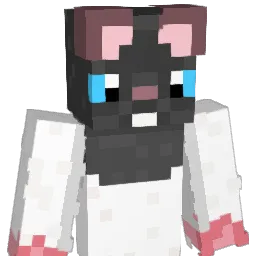 iso8859 Minecraft avatar bust