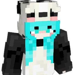itamar32451 Minecraft avatar bust