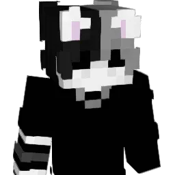 its7sn Minecraft avatar bust