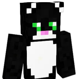 itsViruz077 Minecraft avatar bust