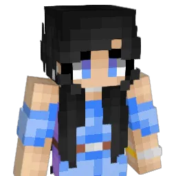 its__skyyy Minecraft avatar bust