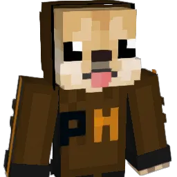 its_ramenbtw Minecraft avatar bust