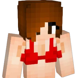 itsollyzz Minecraft avatar bust