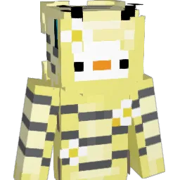 itsskib