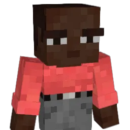 iualfsd1 Minecraft avatar bust