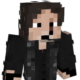 iwaru1504 Minecraft avatar bust