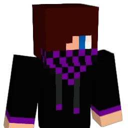 ja1183 Minecraft avatar bust