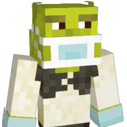 jaimin123556 Minecraft avatar bust