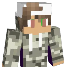 jakejake2004 Minecraft avatar bust