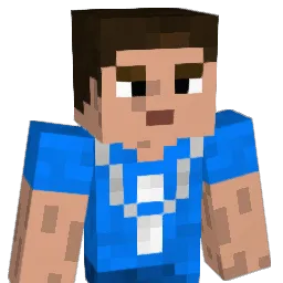 jam294 Minecraft avatar bust