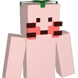 jang1007 Minecraft avatar bust