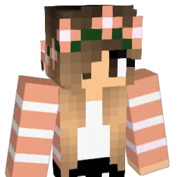 jani8800 Minecraft avatar bust