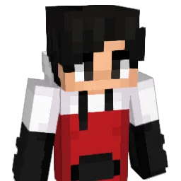 janksryan's Minecraft skin