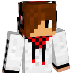janneh14 Minecraft avatar bust