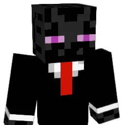jarry00 Minecraft avatar bust