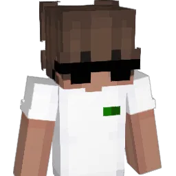 jasiowski2233 Minecraft avatar bust