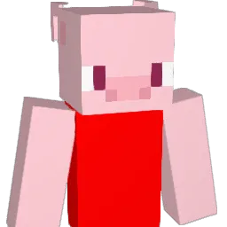 jasnotcool Minecraft avatar bust