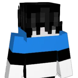 java_editon67 Minecraft avatar bust