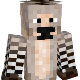jb5111 Minecraft avatar bust