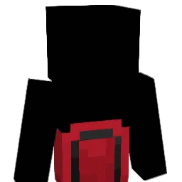 jb_198 Minecraft avatar bust