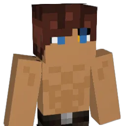jburr17 Minecraft avatar bust
