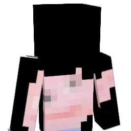 jdonix Minecraft avatar bust