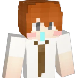 jdy4004 Minecraft avatar bust