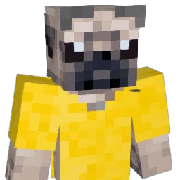 jenrperry Minecraft avatar bust