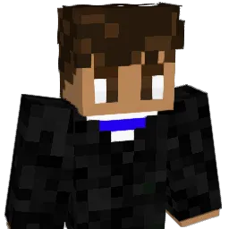 jeromewashere Minecraft avatar bust