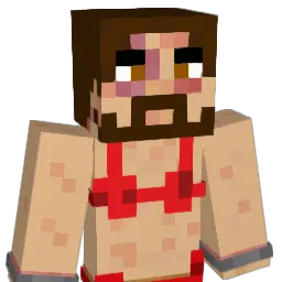 jessgs Minecraft avatar bust