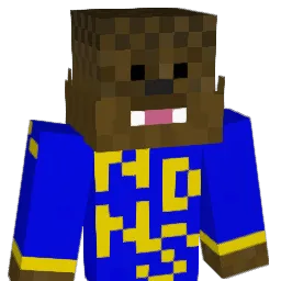 jetsfan2002 Minecraft avatar bust