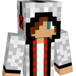 jh8910 Minecraft avatar bust