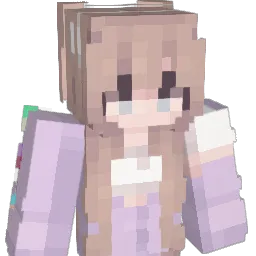 jhamer63 Minecraft avatar bust