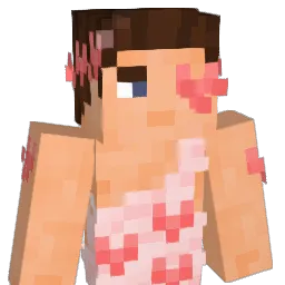 jhj0330 Minecraft avatar bust