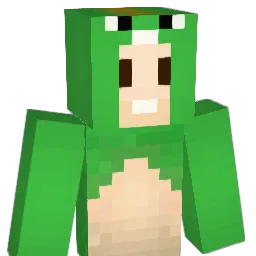 jhoon917 Minecraft avatar bust