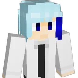 ji1130 Minecraft avatar bust