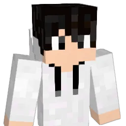 ji_s_07 Minecraft avatar bust