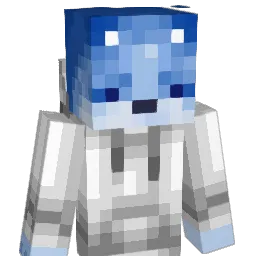 jinds1246 Minecraft avatar bust