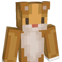 jiri_peri Minecraft avatar bust
