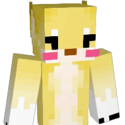 jj515 Minecraft avatar bust