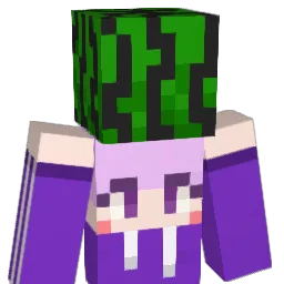 jjin2's Minecraft skin
