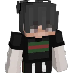 jjoyook1 Minecraft avatar bust