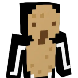 jjw001 Minecraft avatar bust