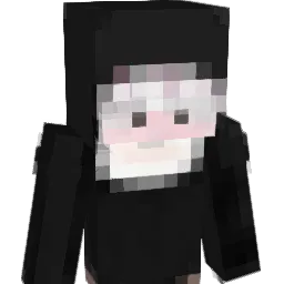 jjx20081 Minecraft avatar bust