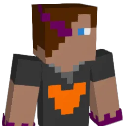 jlitt8 Minecraft avatar bust