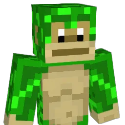 jmd3250 Minecraft avatar bust