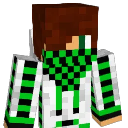jnks2001 Minecraft avatar bust